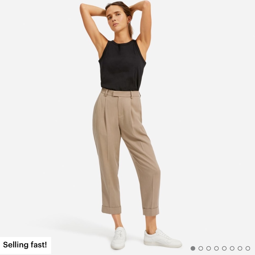 Everlane The Put-Together Pleat Pant